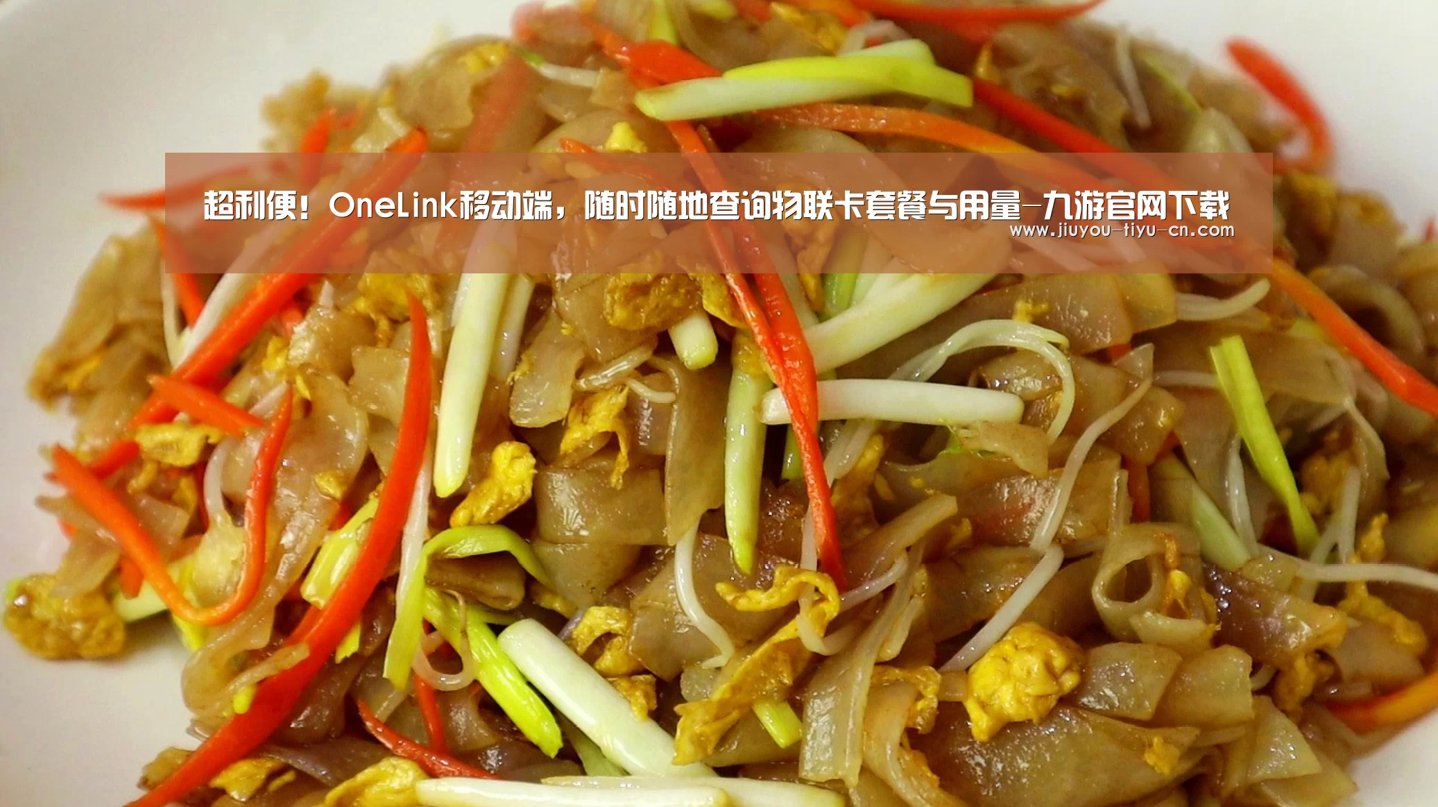 超利便!OneLink移动端,随时随地查询物联卡套餐与用量-九游官网下载(图1) 九游官方网站手机版